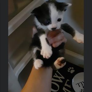 Meet your Posher, Brianna